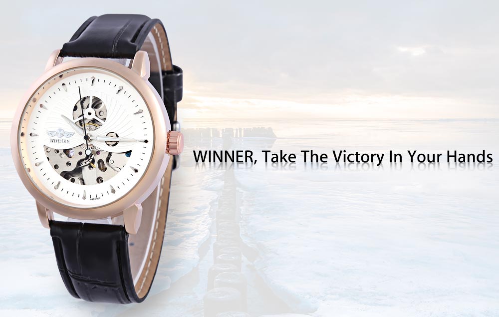 WINNER F2016826 Men Auto Mechanical Watch Distinct Pattern Luminous Hollow Dial Wristwatch