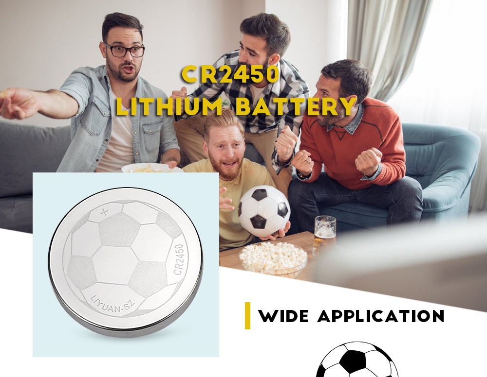 CR2450 550mAh 3V Lithium Battery for Watch